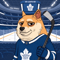 Toronto Maple Leafs Illustration GIF by Doge Pound