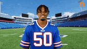 Buffalo Bills Touchdown GIF by Northtown Auto