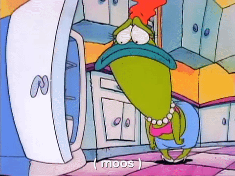 rockos modern life nicksplat GIF