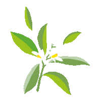 Flower Sticker