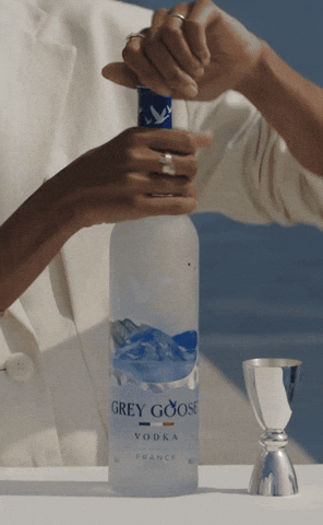 Excited Celebration GIF by GREY GOOSE® Vodka