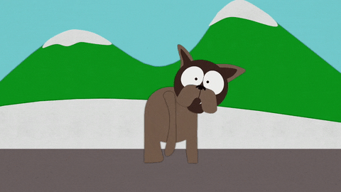 what confused GIF by South Park 