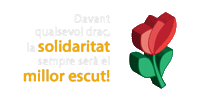 Rosa Catalunya Sticker by Casal dels Infants