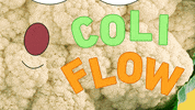 coliflow coliflow pizza coliflor pizza coliflow GIF