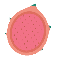 Pink Fruit Sticker by RC_00