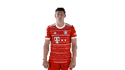 French Football Yes Sticker by FC Bayern Munich