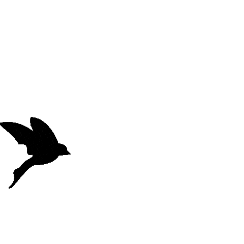 Flowing Fly High Sticker