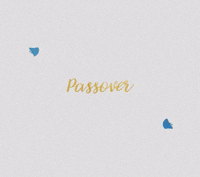 Jewish People GIF
