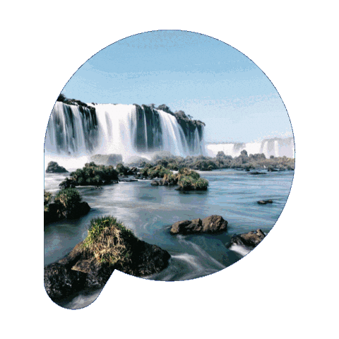 Privacybrasil Sticker by Privacy