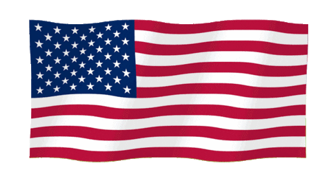 Usa America Sticker by SHEDEVR