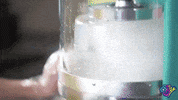 Snobiz  GIF