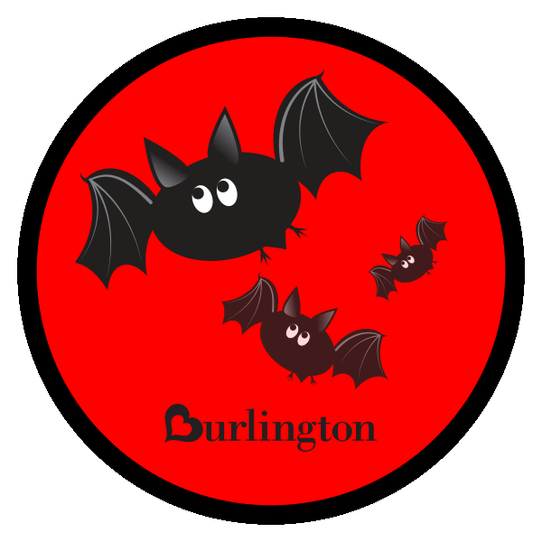 Halloween Bat GIF by Burlington