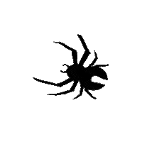Redbacks Sticker by RMITStudentLife