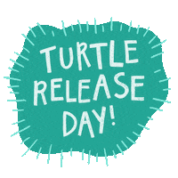 OliveRidleyProject turtle sea turtle orp olive ridley project Sticker