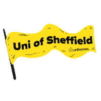 Ice Hockey Sheffield Sticker by UniHomes