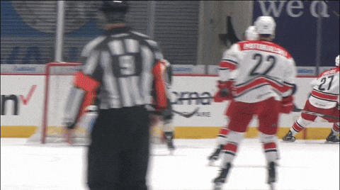 happy hockey GIF by Charlotte Checkers
