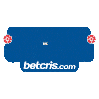 Chelsea Theblues Sticker by Betcris