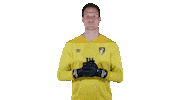 Football Hardcore Sticker by AFC Bournemouth