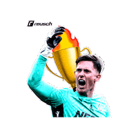 Champion Goalkeeper Sticker by Reusch