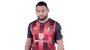 Football Love Sticker by AFC Bournemouth
