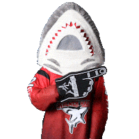 Hockey Nhl Sticker by Koelner Haie