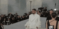 Met Gala GIF by E!