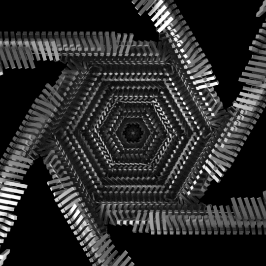 Black And White Art GIF by xponentialdesign