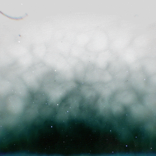 Art Animation GIF