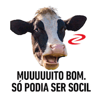 Boi Vaca Sticker by Socil