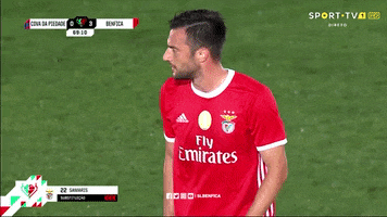 Sl Benfica Applause GIF by Sport Lisboa e Benfica