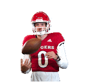 Touchdown Pass Sticker by Rutgers Football
