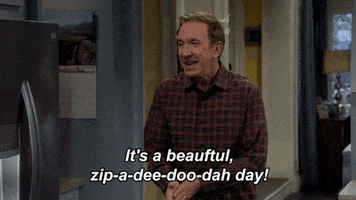Excited Happy Day GIF by FOX TV