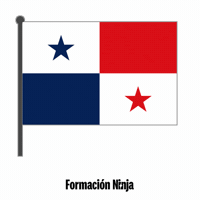 Panama Flag GIF by Formación Ninja