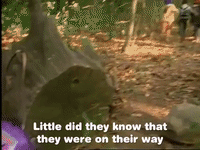 season 3 GIF