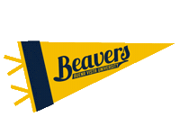 Bvu Sticker by Buena Vista University
