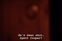 season 1 GIF by Twin Peaks on Showtime