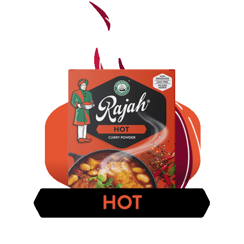RajahSouthAfrica giphyupload hot curry spices Sticker