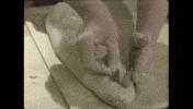 Food Cooking GIF by Julia Child