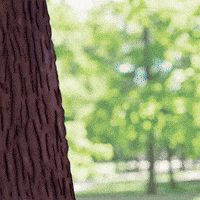 Tree Yes GIF by snek
