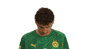 Look Up Borussia Dortmund Sticker by Bundesliga