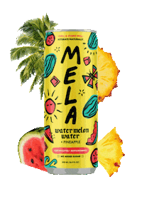 Watermelon Pineapple Sticker by Mela Water