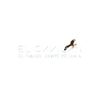 Sticker by Gente De Zona