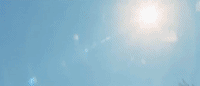 who dat boy GIF by Tyler, the Creator