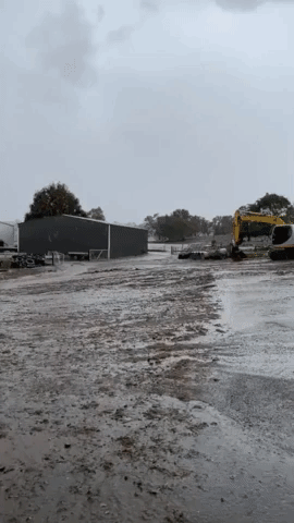 Rain Falls on Drought-Affected Farms as Deluge Pours Across New South Wales
