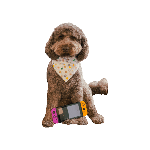 Animal Crossing Doodle Sticker by Geekster Pets