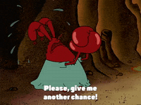 season 3 GIF by SpongeBob SquarePants