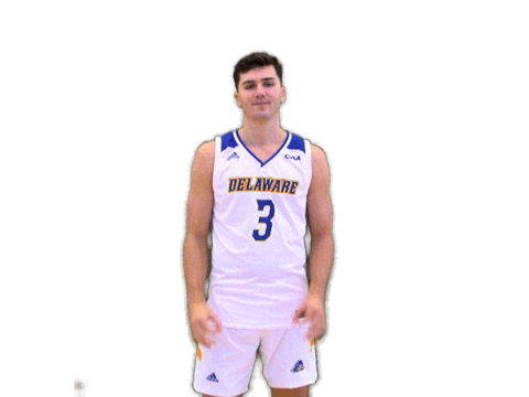 Basketball Bluehens Sticker by Delaware Blue Hens