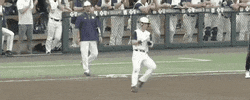 World Series Baseball GIF by NCAA Championships
