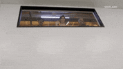i see you laughing GIF by Bong Appétit