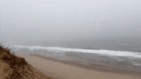 Fog Covers Coast of Cape Cod